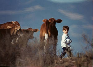 jsw_malloryand_calves.jpg