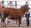 2011/jsw_reba_profile_brenham.jpg