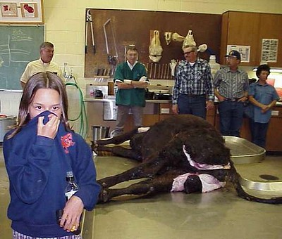 Malloryspicxs/jsw_mallory_covers_nose_at_caine_in_idaho.jpg